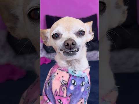 Pelitos está fea thumbnail