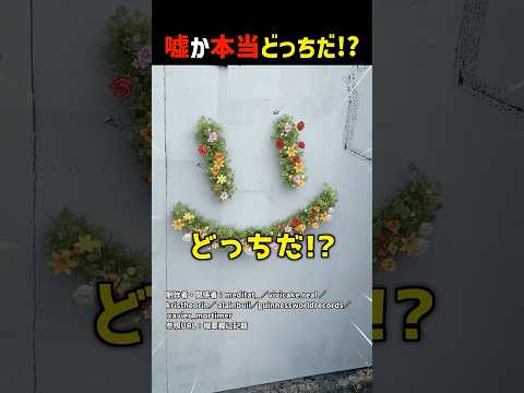 嘘か本当どっちだ！？part19 #shorts #クイズ thumbnail