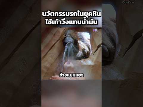 นวัตกรรมรถในยุคหิน ใช้เท้าวิ่งแทนน้ำมัน #shorts thumbnail