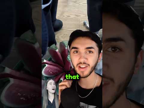 She tried a watermelon slicer... #shorts #shortsfeed #youtubeshorts #cringe #lifehack #comedy #funny thumbnail