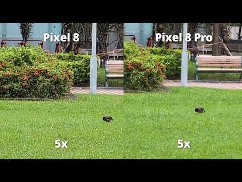 Google Pixel 8 vs Google Pixel 8 Pro_4k/60fps_Zoom test thumbnail