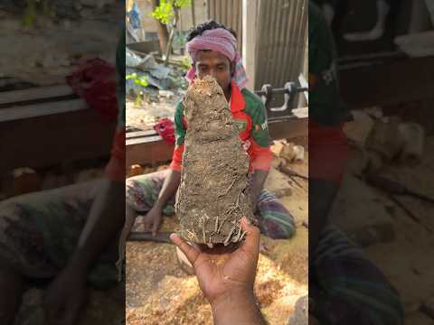 Amazing Bamboo Root Turned Into a Beautiful Drinking Glass! #Shorts thumbnail
