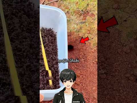 มดทั้งกองทัพบุกล่า! แต่ตอนจบโคตรพีค🤯🐜#ความรู้ #มด #เล่าเรื่อง #shorts #ฟีด thumbnail