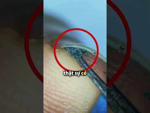 Nếu bạn liên tục để móng tay bẩn trong 1 tuần❗😳 thumbnail