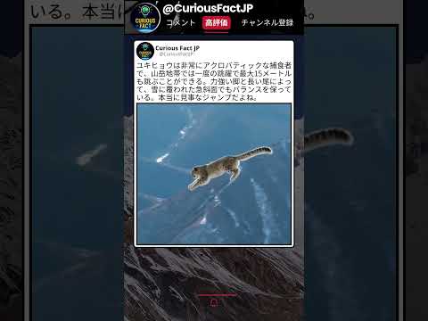 ほぼ空飛んでるみたいだった ? thumbnail