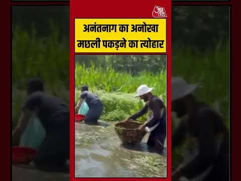 Shorts | अनंतनाग का अनोखा मछली पकड़ने का त्योहार #viral #shorts #trending #ATShorts thumbnail