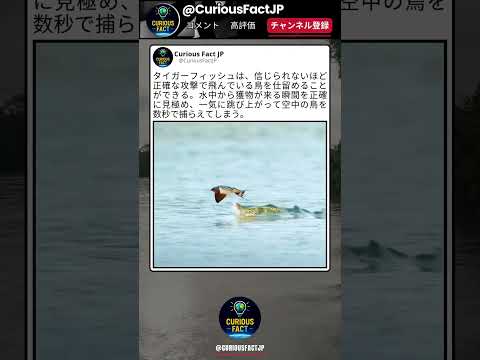 自分なら絶対この川に入りたくない ?? thumbnail