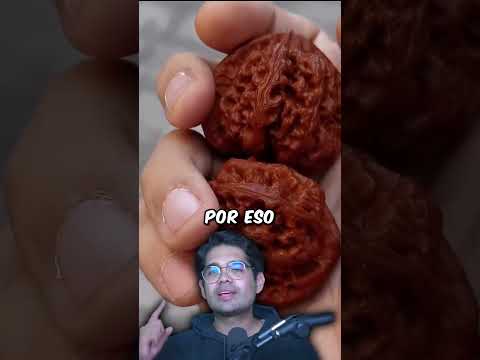 Frotada De Nueces Generacional thumbnail