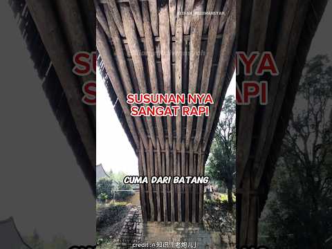 jalan dengan susunan kayu yang rapi thumbnail