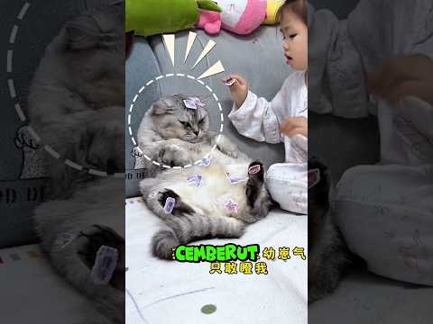 Oreo ngambek, mukanya lucu banget ? thumbnail