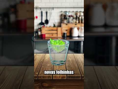 COMO FAZER COMIDA INFINITA? thumbnail