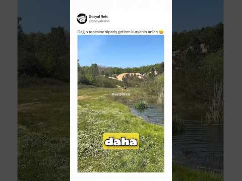 Dağın tepesine sipariş getiren kuryenin anları ? thumbnail