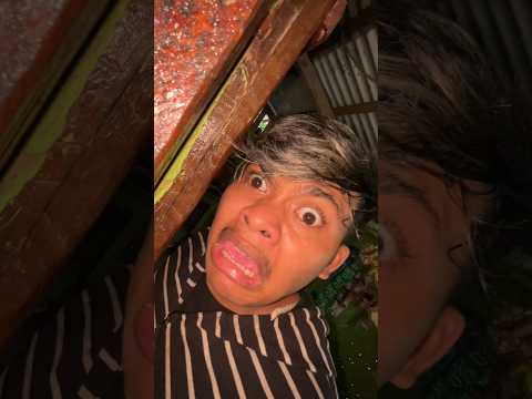 OBAT RASA KICAU MANIA! #comedy #kicaumania #ngakak #shorts #martinsow thumbnail