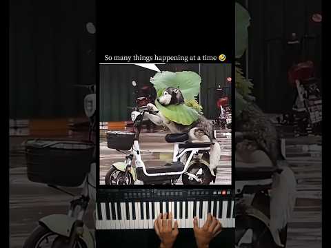 Husky riding a bike 😂 thumbnail