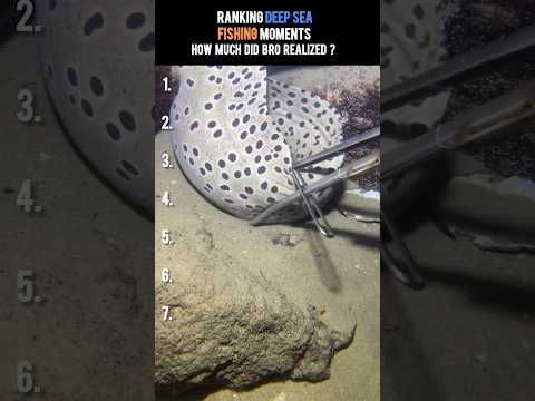 Ranking Deep Sea Fishing Moments pt.9 | How much did he earn ? #deepseafishing thumbnail