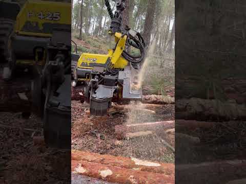 Forest Beast: Harvester 1270G in Action #harvester #forest #logging #johndeere #lumberjack #tree thumbnail