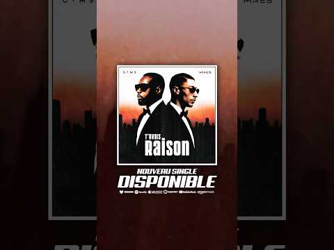 « T’AVAIS RAISON » FT.@Maesofficiel - DISPO ⚡️#gims #maes thumbnail