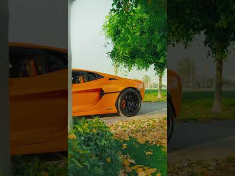 Servin’ fresh on today’s menu 🍊 #Lamborghini #Temerario #carsofyoutube #dubaicars  thumbnail