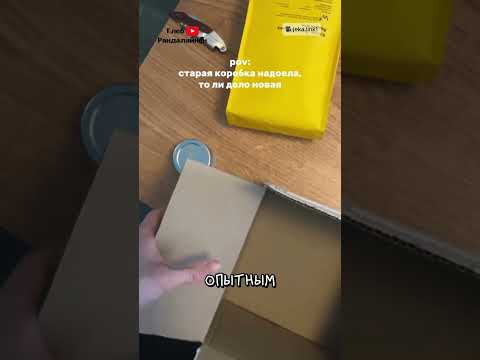 Котопультировался 😼 thumbnail
