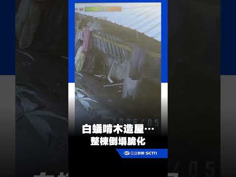 白蟻啃木造屋…整棟「倒塌脆化」只花4秒｜三立新聞網 SETN.com thumbnail