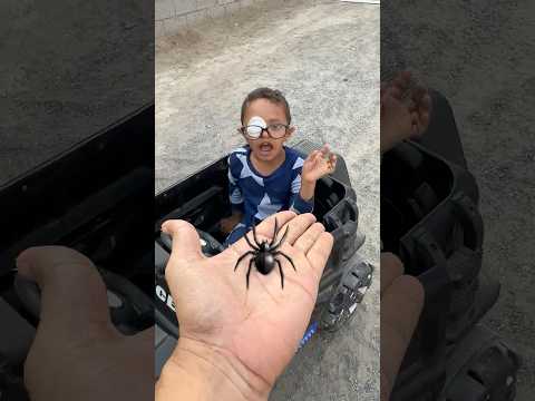 شوفوا ايش حصلنا في البيت ?️?️? #shorts thumbnail