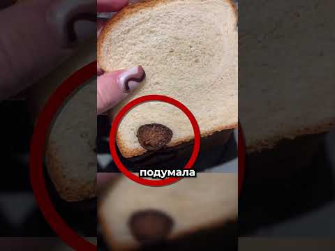Она подумала, что хлеб покрылся плесенью 😳 thumbnail