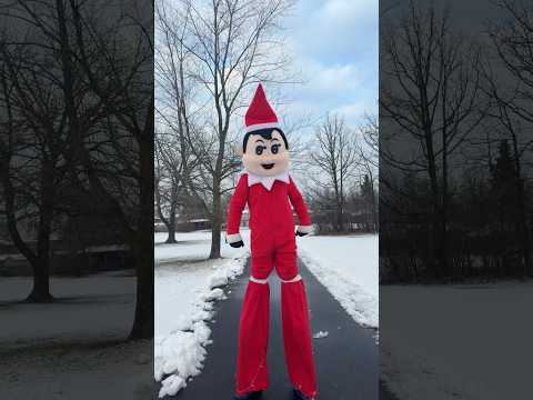 I found GIANT Elf on the Shelf in the Park! #christmas thumbnail