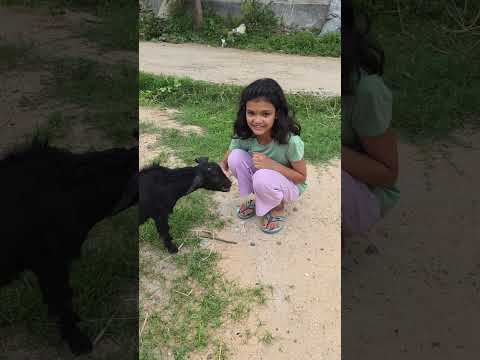 Teri mitti me mil jawa#kritikachannel#Shorts video thumbnail