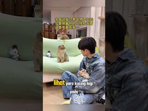 Majikan heran liat kelakuan semua kucing thumbnail