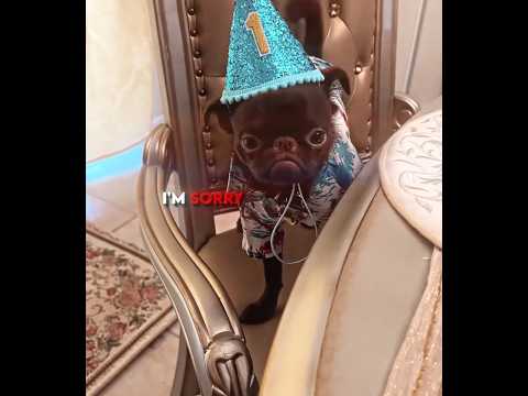 His First Birthday... And Nobody Came! 😢🎂 thumbnail