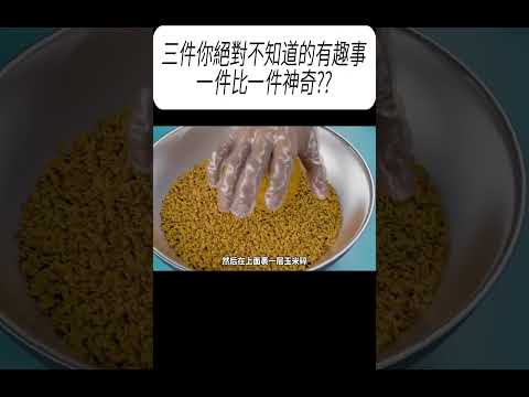 三件你絕對不知道的有趣事，一件比一件神奇??#科普 #漲知識 thumbnail