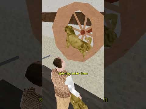 This Dog Is Extinct thumbnail