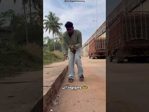 أغرب وأجمل سبب للحصول على إجازة من المدرسة! 🤯🎒 thumbnail