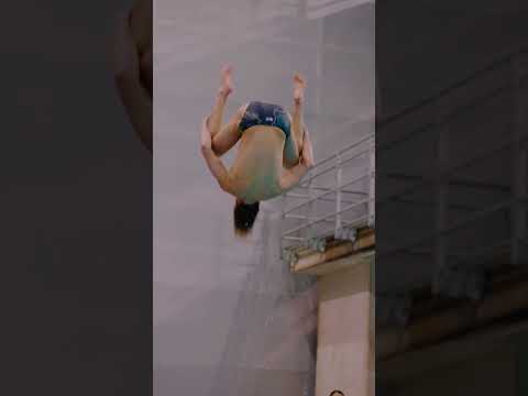 Diving thumbnail