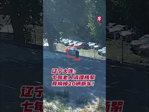 辽宁大连：七旬老人清理杨絮竟烧掉20辆新车！ thumbnail