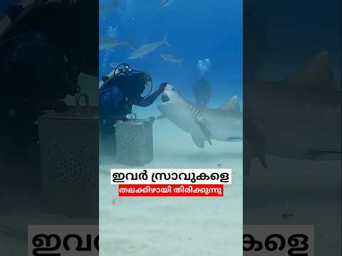 ഇതുകൊണ്ടാണ് സ്രാവുകളെ തലകീഴായി തിരിക്കുന്നത് #മത്സ്യബന്ധനം #ഭക്ഷണം thumbnail