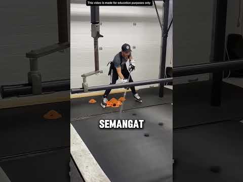 SIMULASI BERTAHAN HIDUP thumbnail