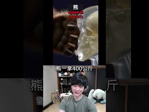 你知道被動物揍一拳會受多大的傷嗎！？ thumbnail