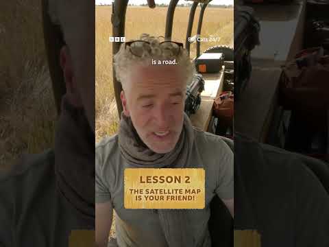 Navigating the Okavango Delta with Gordon Buchanan 🦁 #BigCats247 #Lions #Cheetahs #Leopards #Shorts thumbnail