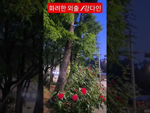 화려한 외출로 행복한 휴일되세요  #강다인 #화려한외출 타이틀곡 #트롯강다인 #트롯트  #강다인트롯tv #안중태tv  #shorts thumbnail