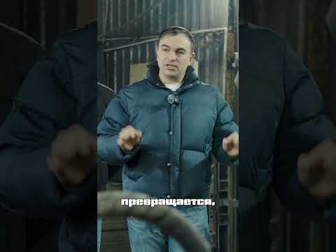 Технарь: Впервые в мире! Грузовик на подсолнечном масле! thumbnail
