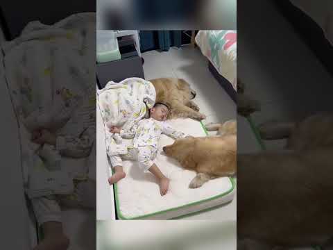 #love #baby thumbnail