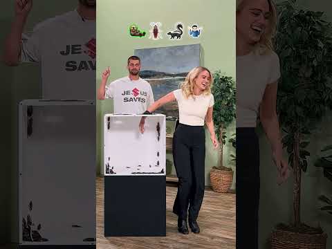 Oni zgadują jakie to zwierze w pudełku thumbnail