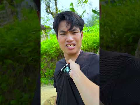 Tưởng dễ ăn ai ngờ? #shorts #tiktok #foryou #fyp #xuhuong #langlieu thumbnail