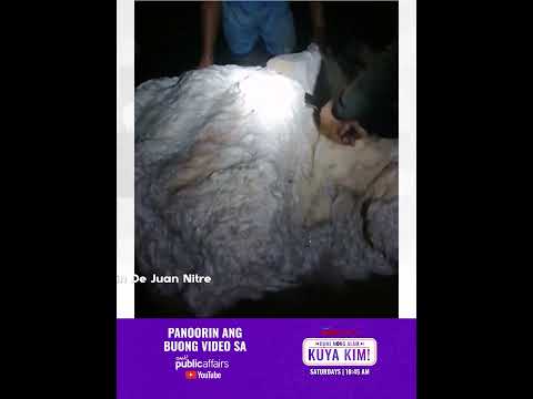 Totoo nga bang suka ng balyena ang natagpuan sa Sultan Kudarat? | Dami Mong Alam, Kuya Kim! thumbnail