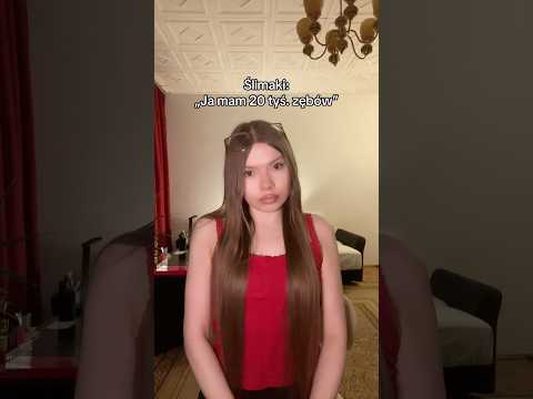 pov: zęby thumbnail