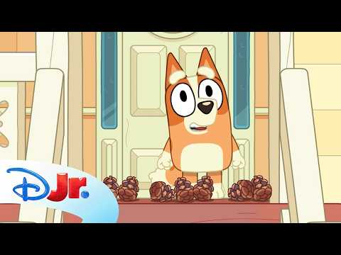 Bingo Sings and Counts Pinecones from Ten to Zero! 🧡🌲 | Bluey Minisode Green Bottles | @disneyjr thumbnail