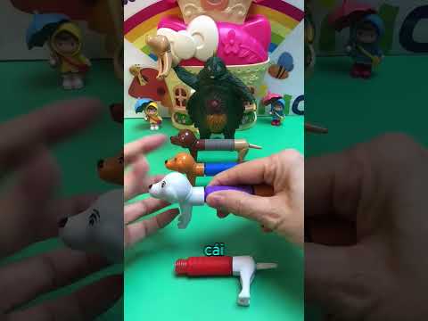 Chú chó trắng tội nghiệp 🥹 thumbnail