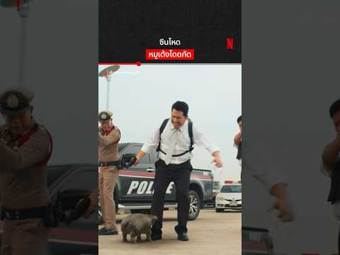 หมูเด้งเด้งเลย #ฟู้ดทรัคลักหมูเด้ง #หมูเด้ง #bufftalk #NetflixThailand #shorts thumbnail