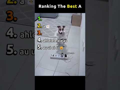 Ranking The Best A thumbnail